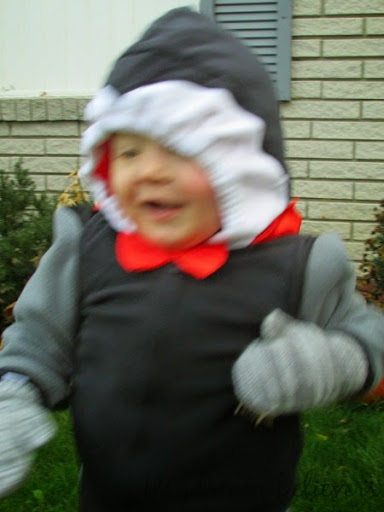 Halloween Recap on daydreambelieversdesigns.com  #halloween